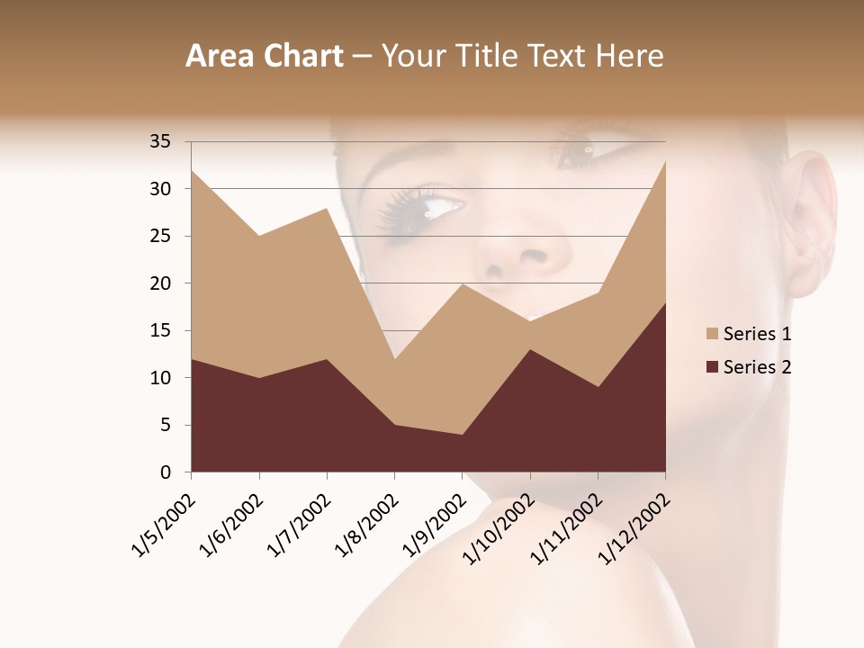 Landscape Image During Sunset And The Birds Flying PowerPoint Template