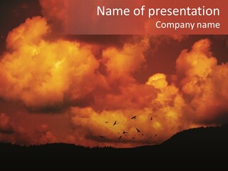 Landscape Image During Sunset And The Birds Flying PowerPoint Template