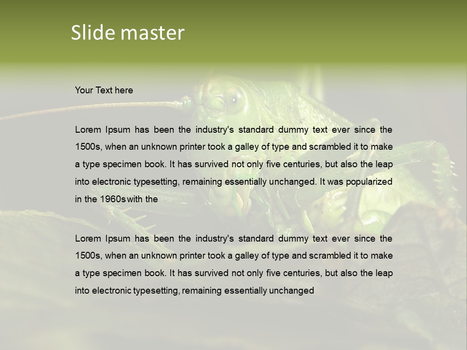Grasshopper Green - Tettigonia Viridissima PowerPoint Template