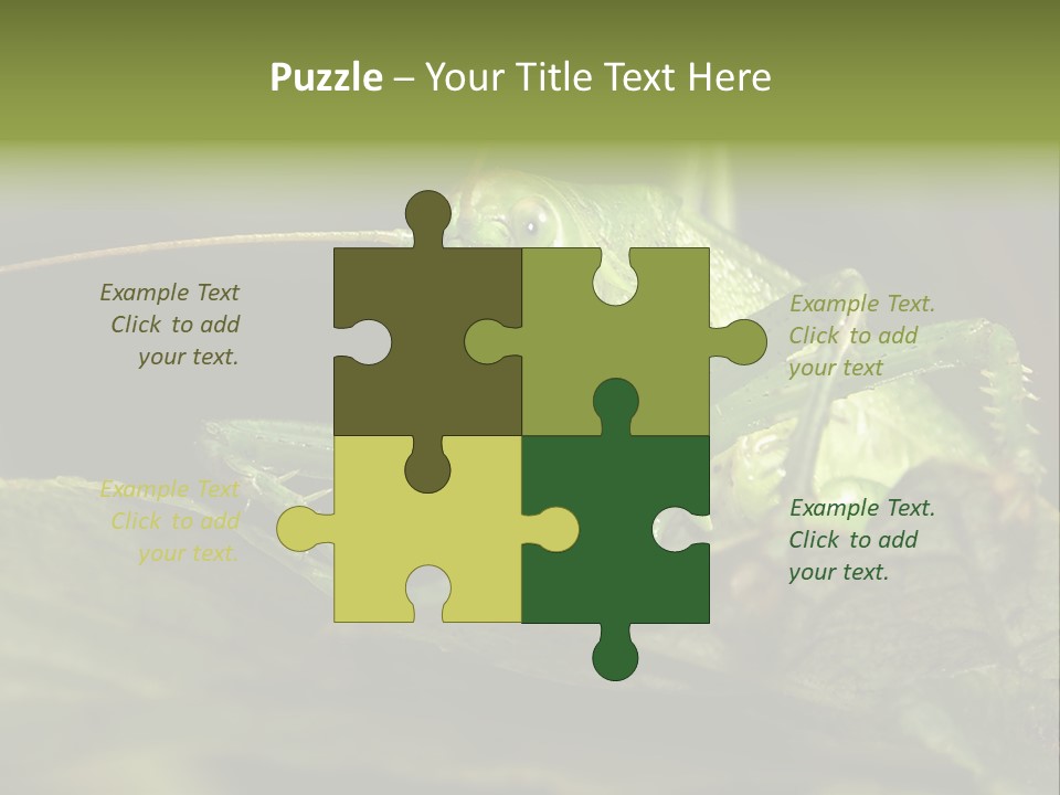 Grasshopper Green - Tettigonia Viridissima PowerPoint Template