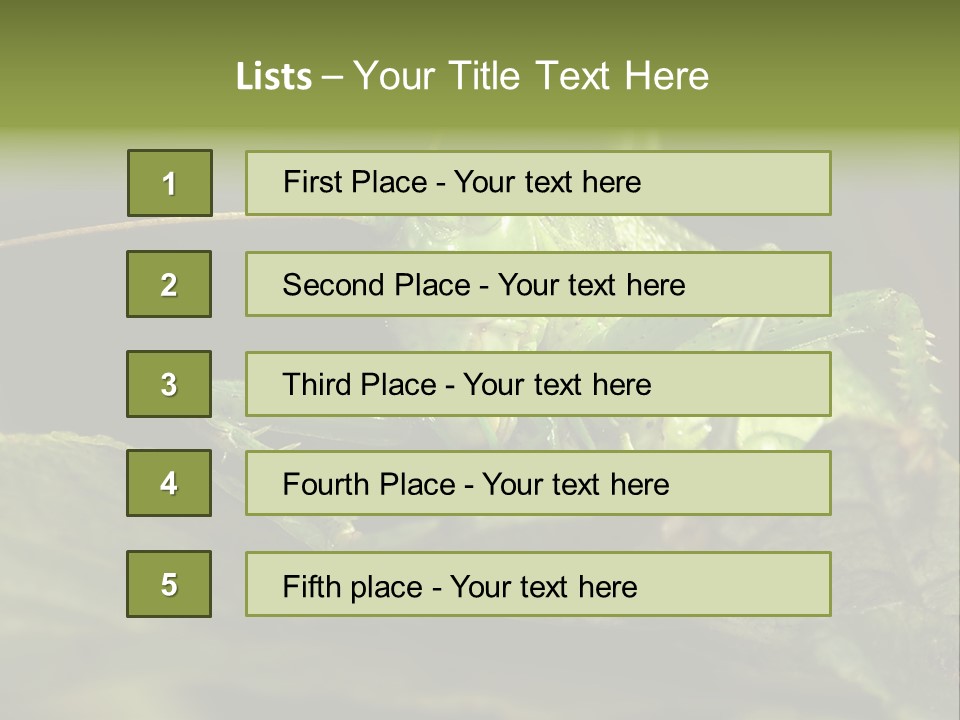Grasshopper Green - Tettigonia Viridissima PowerPoint Template