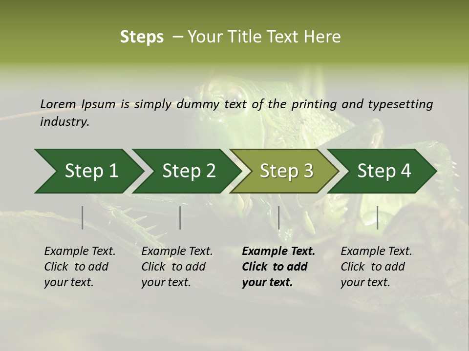 Grasshopper Green - Tettigonia Viridissima PowerPoint Template