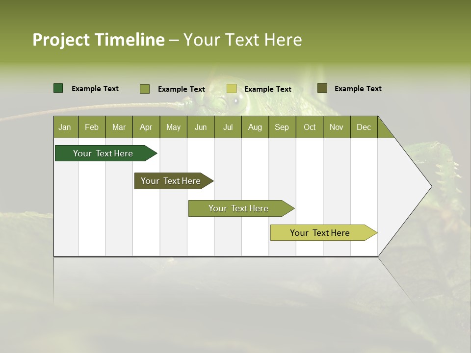 Grasshopper Green - Tettigonia Viridissima PowerPoint Template