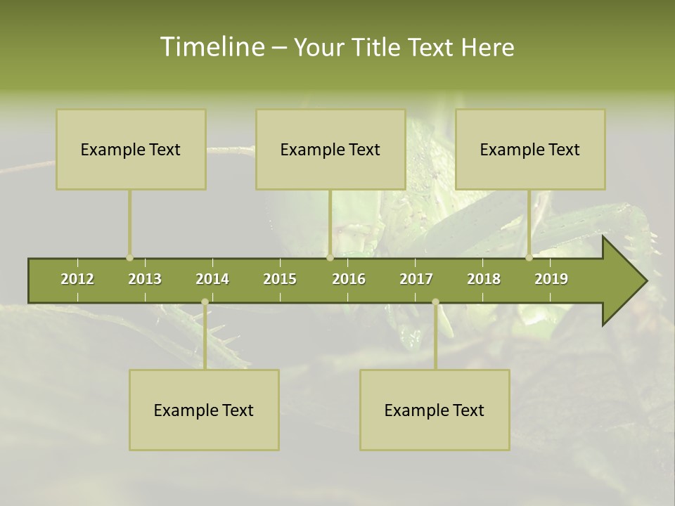 Grasshopper Green - Tettigonia Viridissima PowerPoint Template