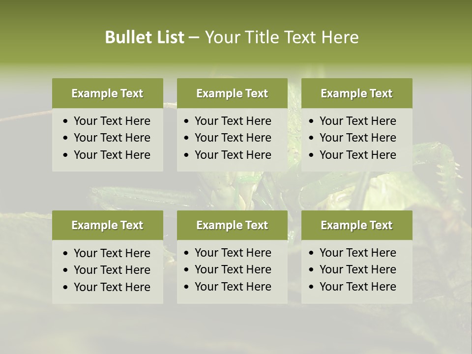 Grasshopper Green - Tettigonia Viridissima PowerPoint Template