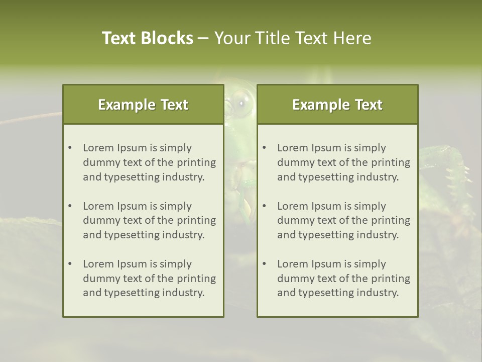 Grasshopper Green - Tettigonia Viridissima PowerPoint Template