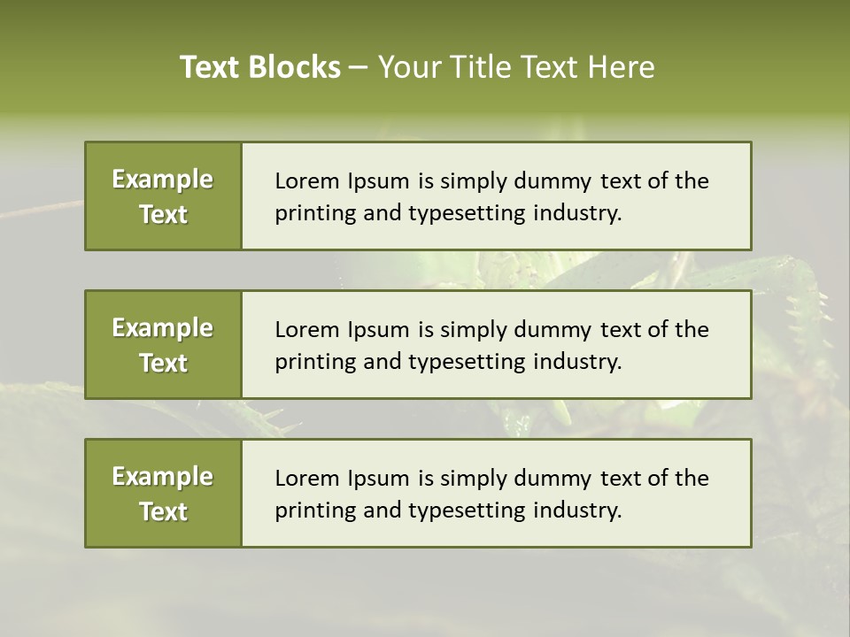 Grasshopper Green - Tettigonia Viridissima PowerPoint Template