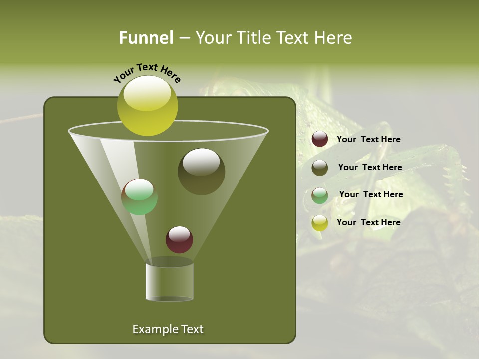 Grasshopper Green - Tettigonia Viridissima PowerPoint Template