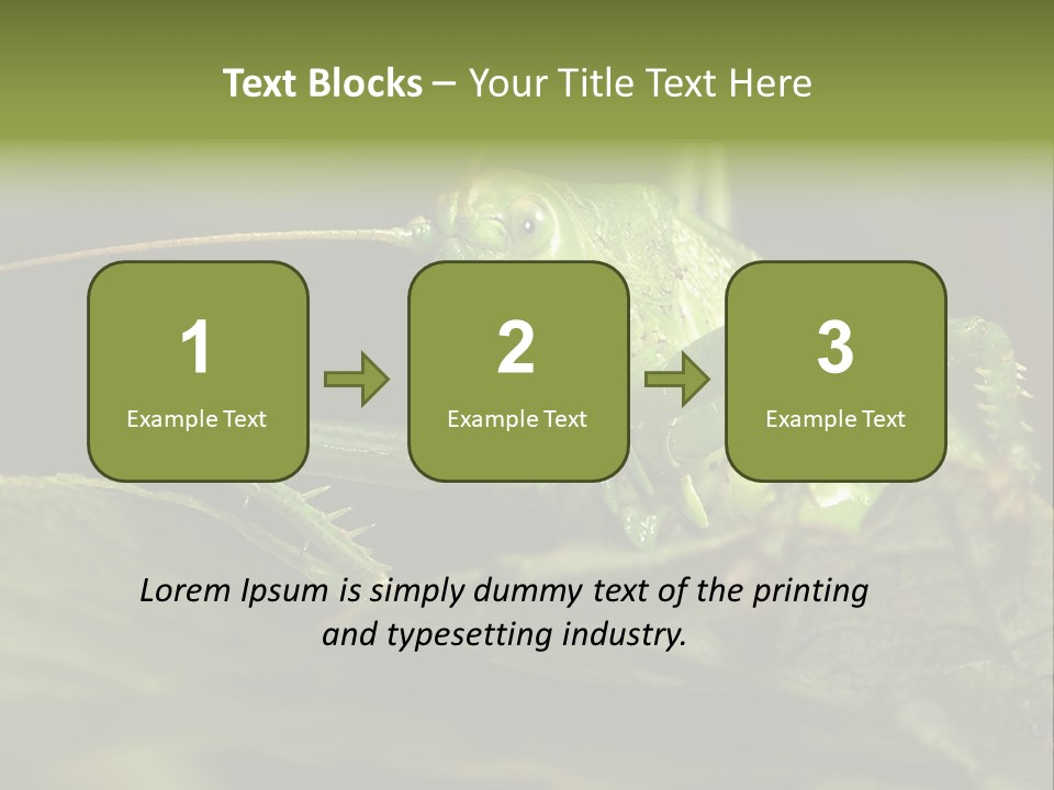 Grasshopper Green - Tettigonia Viridissima PowerPoint Template