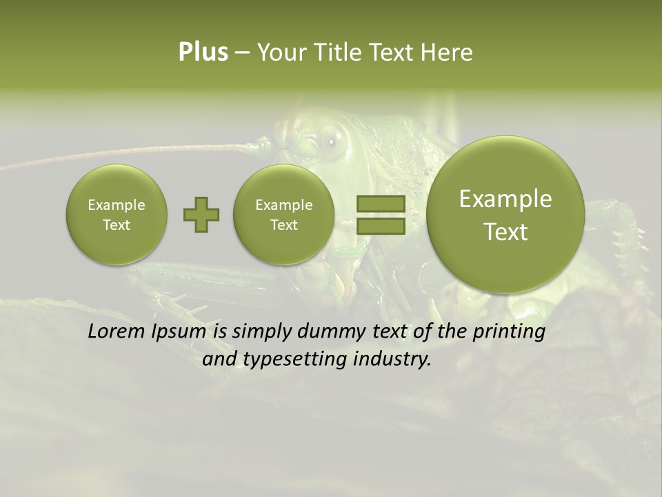 Grasshopper Green - Tettigonia Viridissima PowerPoint Template