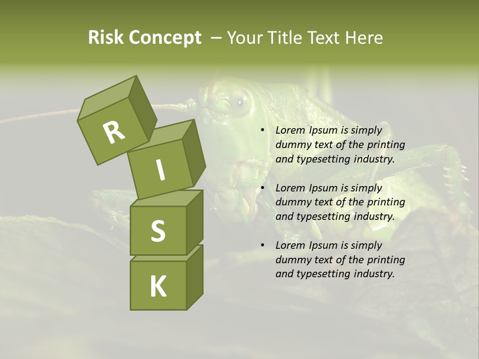 Grasshopper Green - Tettigonia Viridissima PowerPoint Template