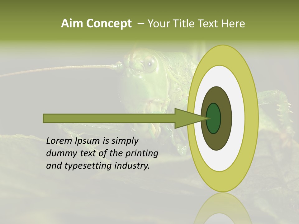 Grasshopper Green - Tettigonia Viridissima PowerPoint Template