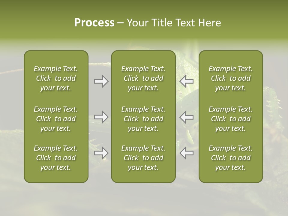Grasshopper Green - Tettigonia Viridissima PowerPoint Template