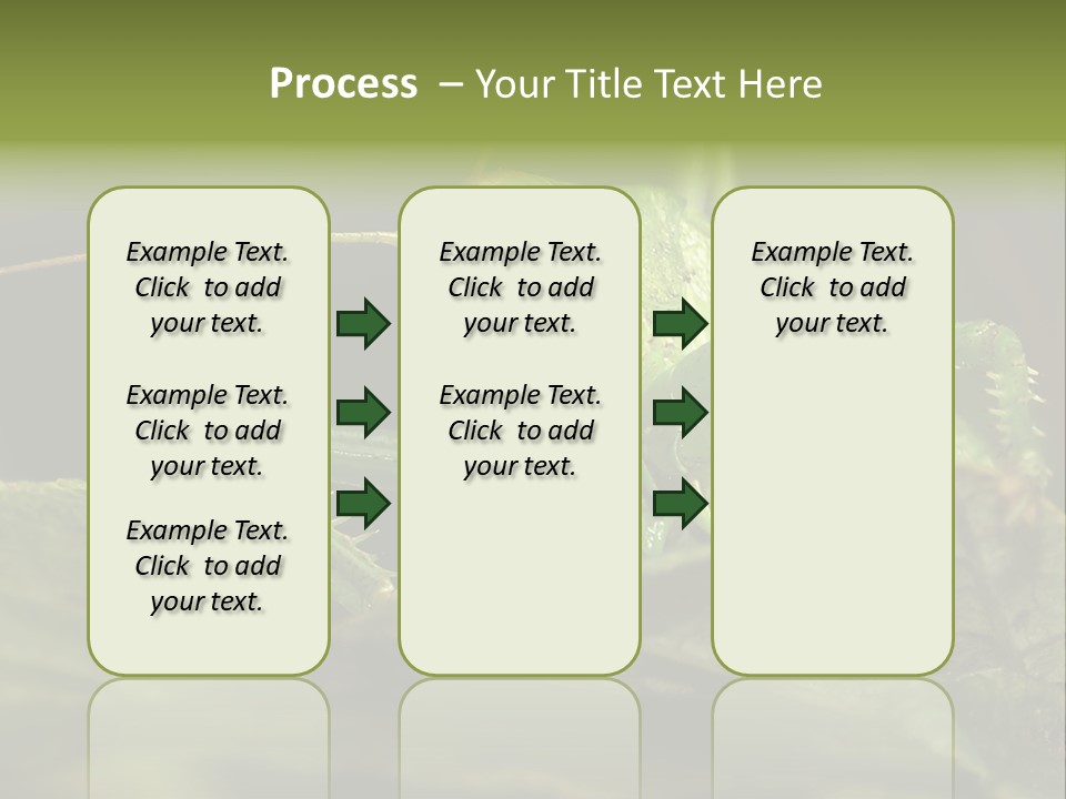 Grasshopper Green - Tettigonia Viridissima PowerPoint Template