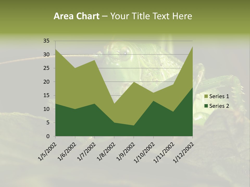 Grasshopper Green - Tettigonia Viridissima PowerPoint Template