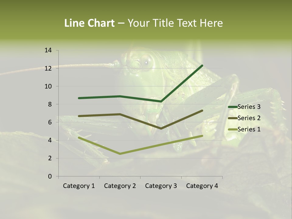 Grasshopper Green - Tettigonia Viridissima PowerPoint Template