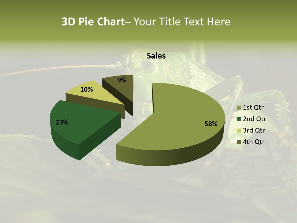 Grasshopper Green - Tettigonia Viridissima PowerPoint Template