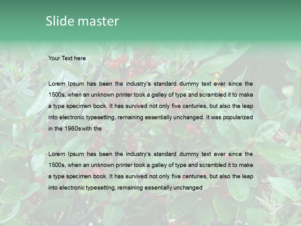 Buffalo Berries (Shepherdia Canadensis) In Banff National Park PowerPoint Template