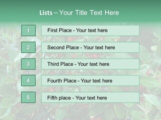 Buffalo Berries (Shepherdia Canadensis) In Banff National Park PowerPoint Template