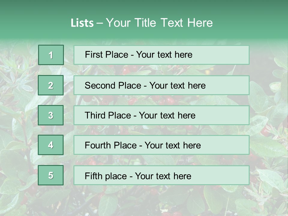 Buffalo Berries (Shepherdia Canadensis) In Banff National Park PowerPoint Template