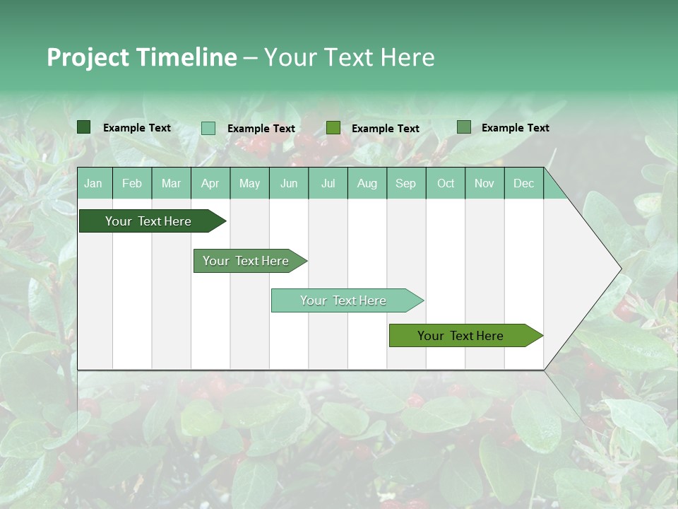 Buffalo Berries (Shepherdia Canadensis) In Banff National Park PowerPoint Template