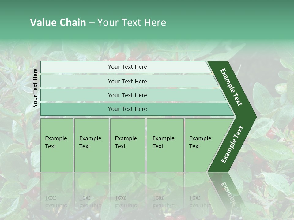 Buffalo Berries (Shepherdia Canadensis) In Banff National Park PowerPoint Template