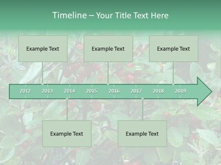 Buffalo Berries (Shepherdia Canadensis) In Banff National Park PowerPoint Template