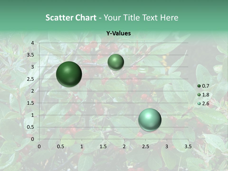 Buffalo Berries (Shepherdia Canadensis) In Banff National Park PowerPoint Template