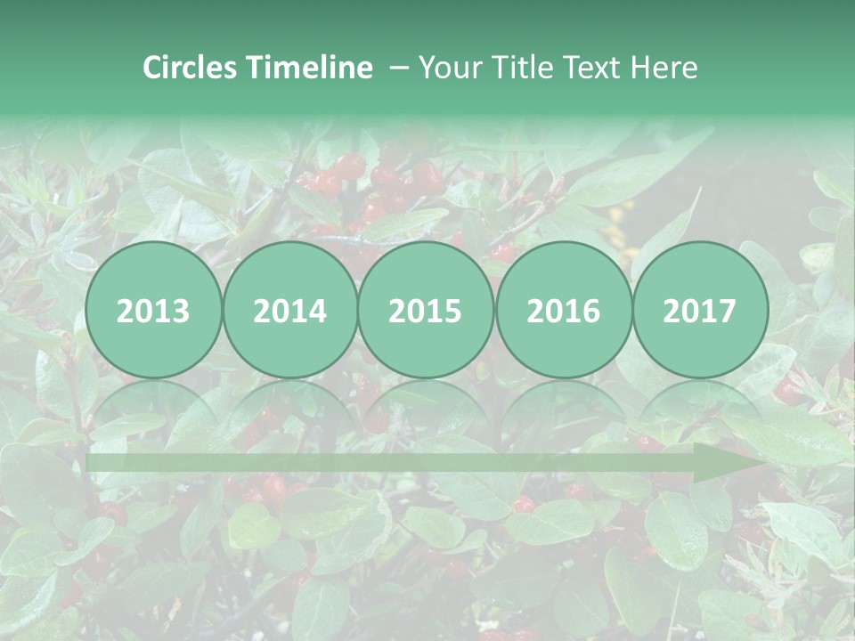 Buffalo Berries (Shepherdia Canadensis) In Banff National Park PowerPoint Template