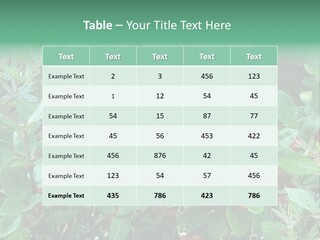 Buffalo Berries (Shepherdia Canadensis) In Banff National Park PowerPoint Template