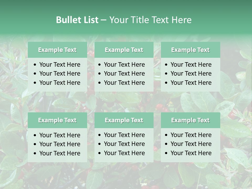 Buffalo Berries (Shepherdia Canadensis) In Banff National Park PowerPoint Template