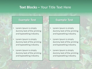 Buffalo Berries (Shepherdia Canadensis) In Banff National Park PowerPoint Template