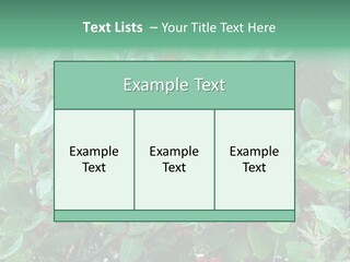 Buffalo Berries (Shepherdia Canadensis) In Banff National Park PowerPoint Template