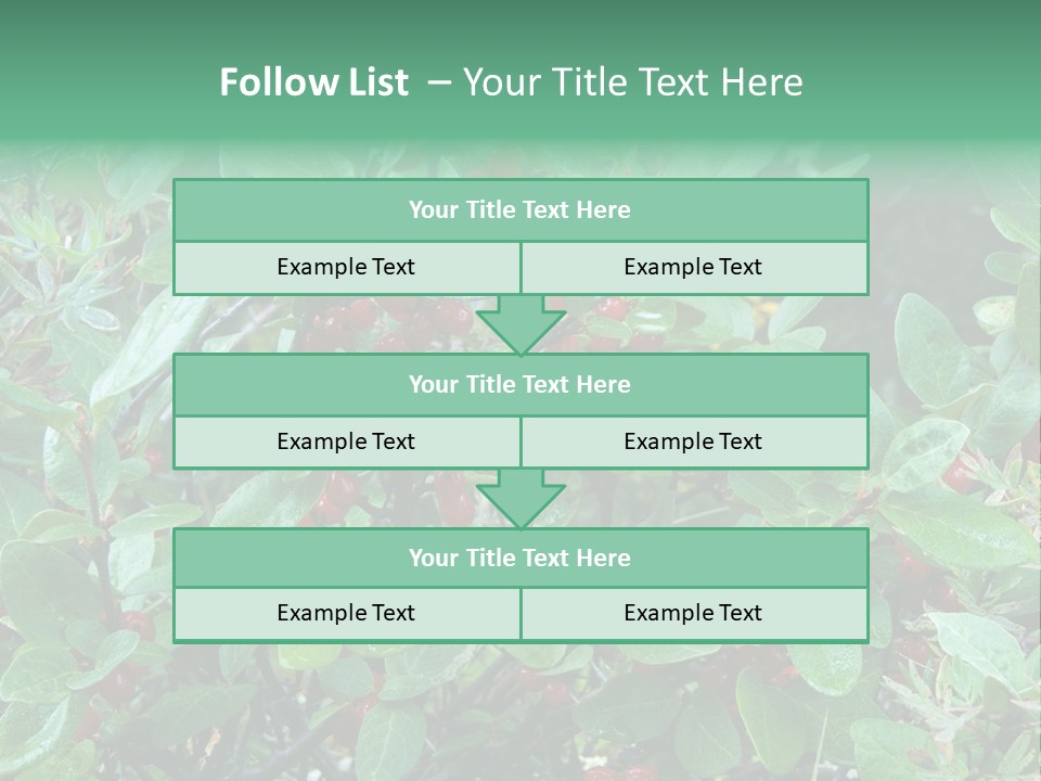 Buffalo Berries (Shepherdia Canadensis) In Banff National Park PowerPoint Template