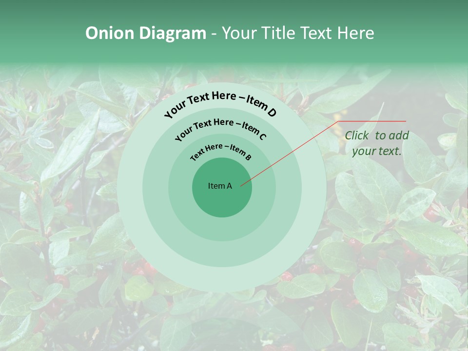 Buffalo Berries (Shepherdia Canadensis) In Banff National Park PowerPoint Template