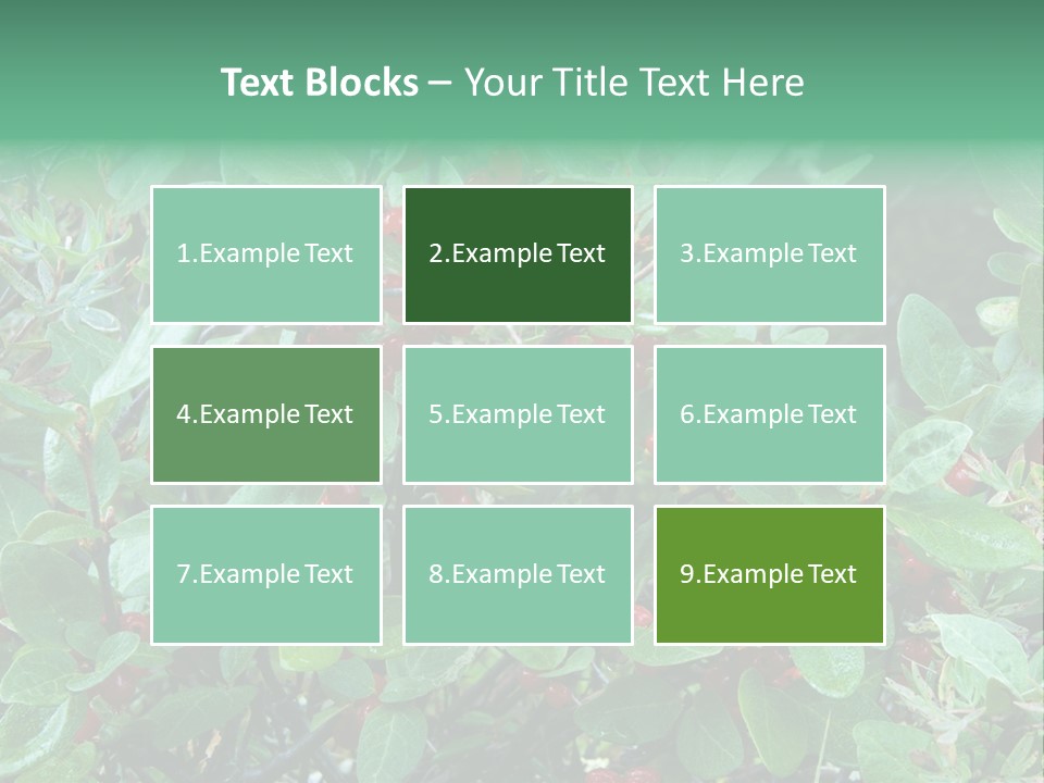 Buffalo Berries (Shepherdia Canadensis) In Banff National Park PowerPoint Template