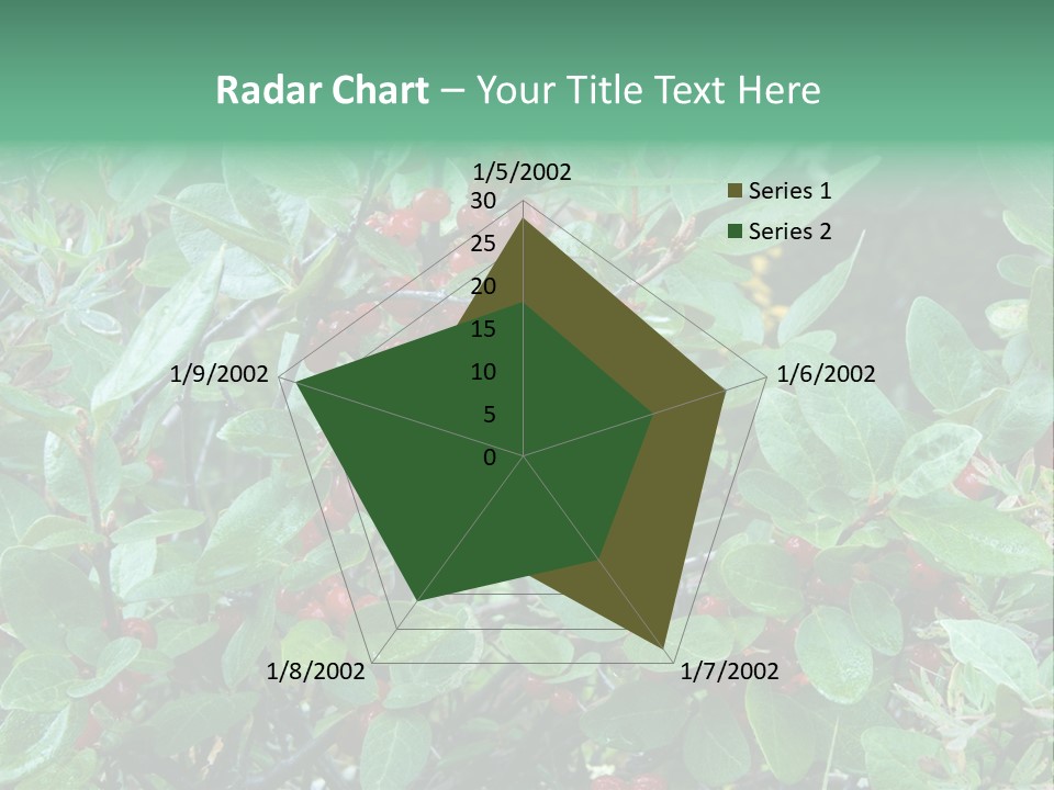 Buffalo Berries (Shepherdia Canadensis) In Banff National Park PowerPoint Template