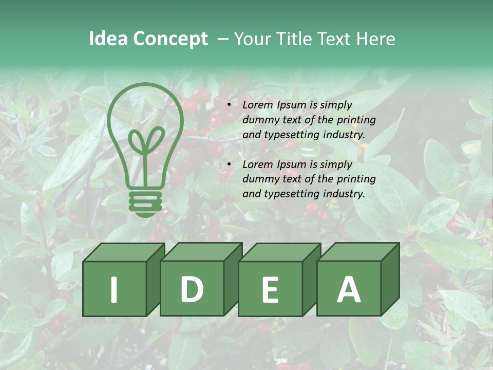 Buffalo Berries (Shepherdia Canadensis) In Banff National Park PowerPoint Template