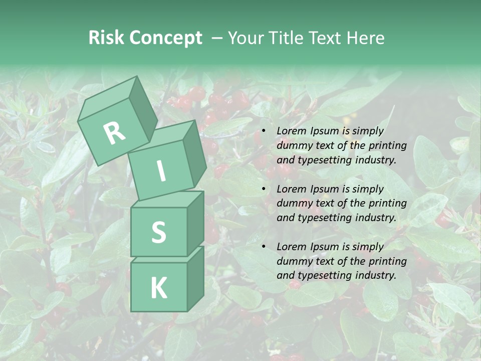 Buffalo Berries (Shepherdia Canadensis) In Banff National Park PowerPoint Template