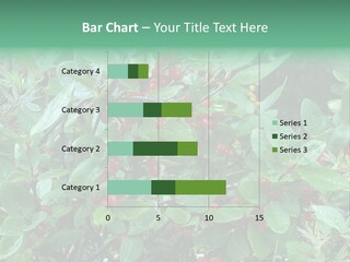 Buffalo Berries (Shepherdia Canadensis) In Banff National Park PowerPoint Template