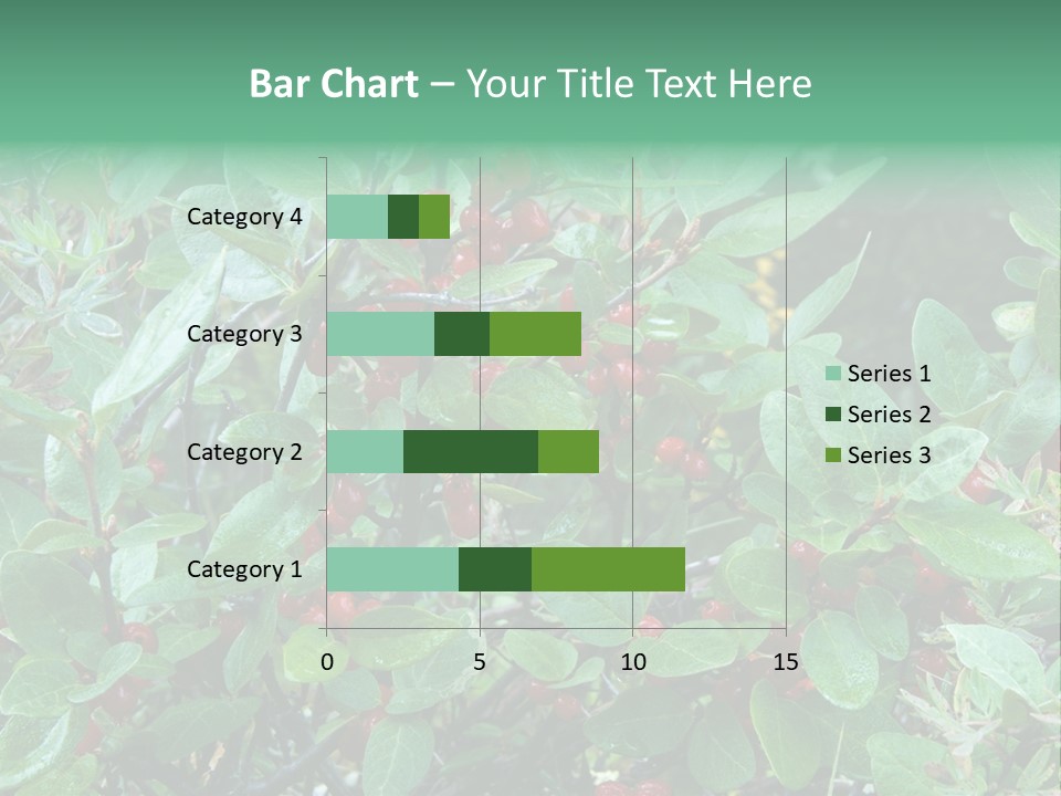 Buffalo Berries (Shepherdia Canadensis) In Banff National Park PowerPoint Template