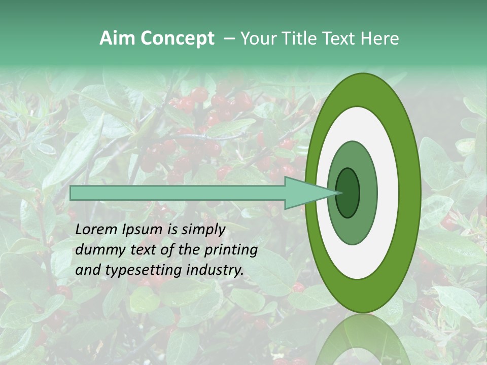 Buffalo Berries (Shepherdia Canadensis) In Banff National Park PowerPoint Template