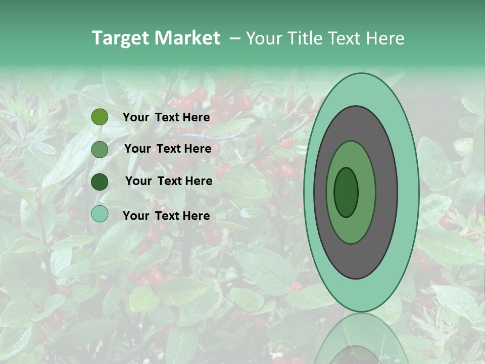 Buffalo Berries (Shepherdia Canadensis) In Banff National Park PowerPoint Template