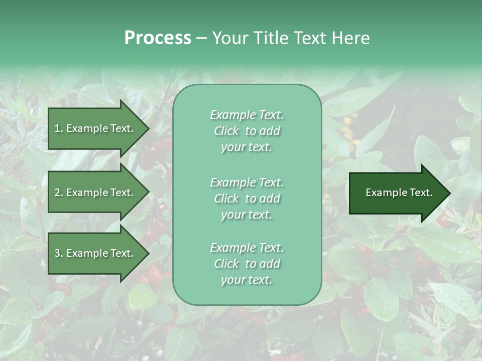 Buffalo Berries (Shepherdia Canadensis) In Banff National Park PowerPoint Template