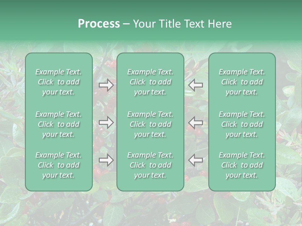 Buffalo Berries (Shepherdia Canadensis) In Banff National Park PowerPoint Template