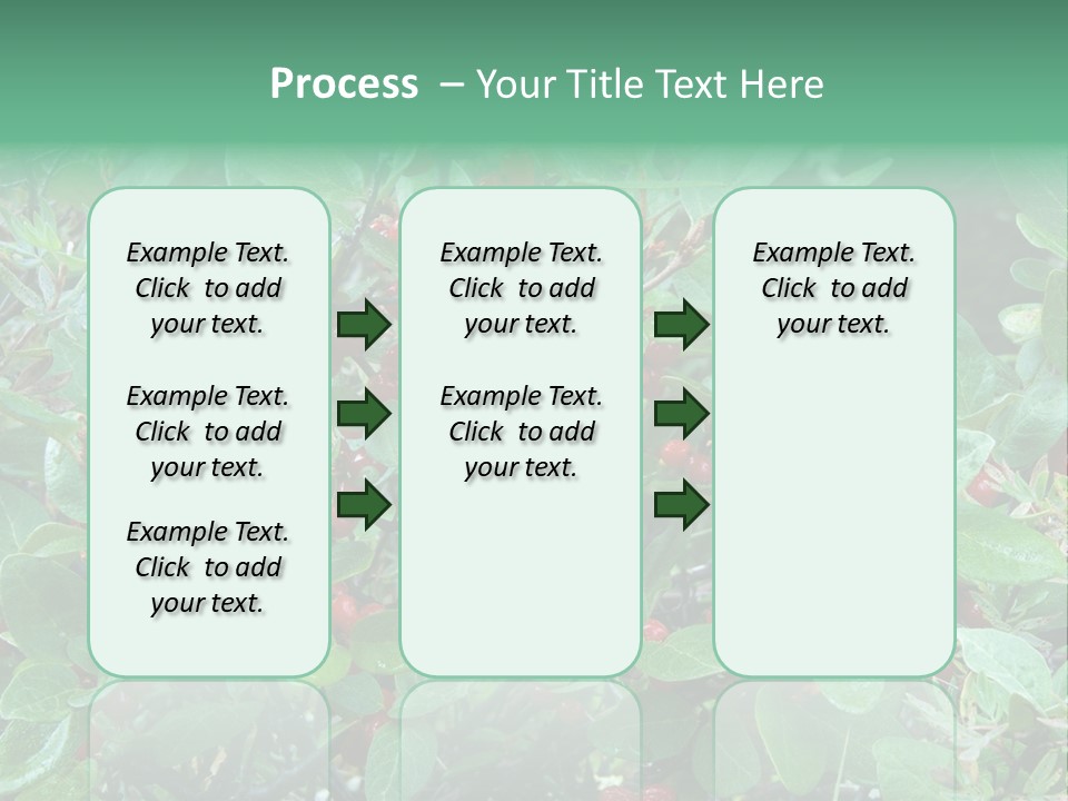 Buffalo Berries (Shepherdia Canadensis) In Banff National Park PowerPoint Template