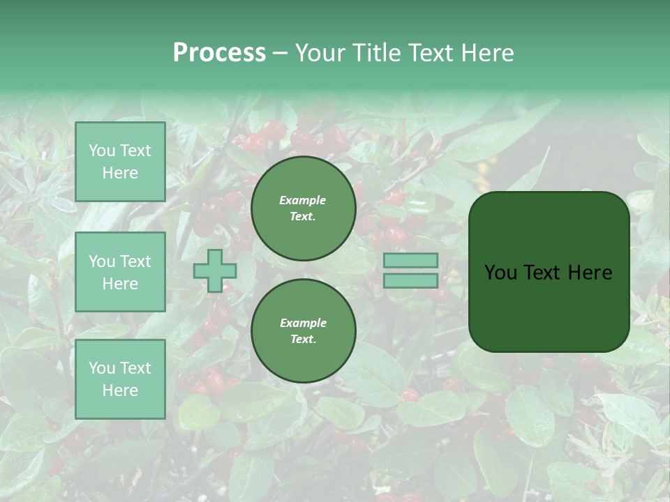 Buffalo Berries (Shepherdia Canadensis) In Banff National Park PowerPoint Template
