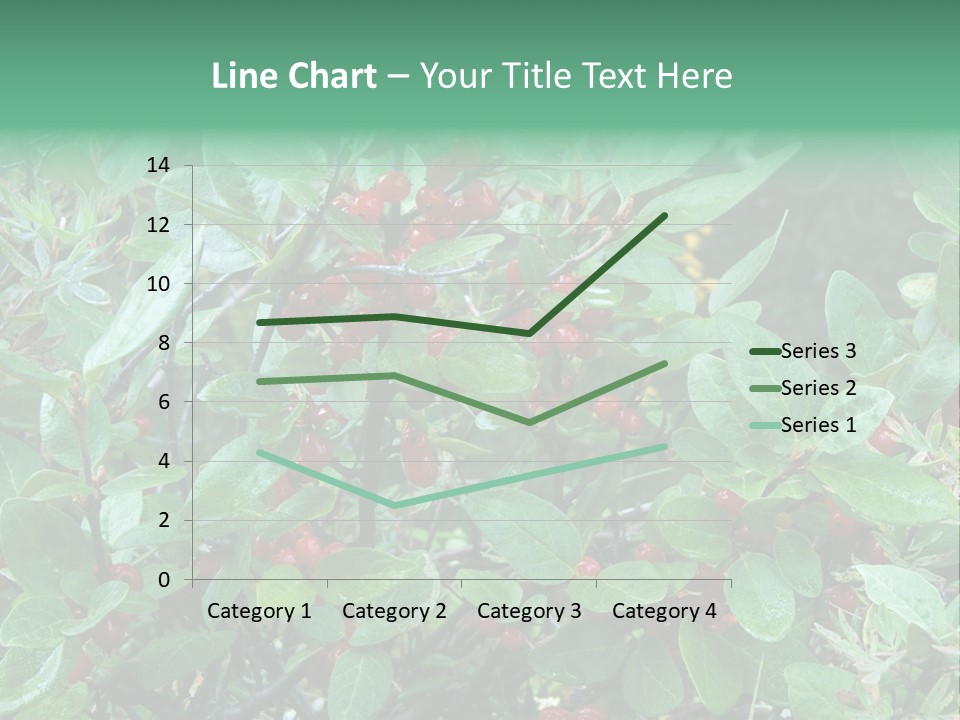Buffalo Berries (Shepherdia Canadensis) In Banff National Park PowerPoint Template