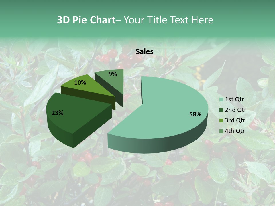 Buffalo Berries (Shepherdia Canadensis) In Banff National Park PowerPoint Template