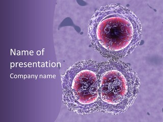 Mrsa Bacteria PowerPoint Template